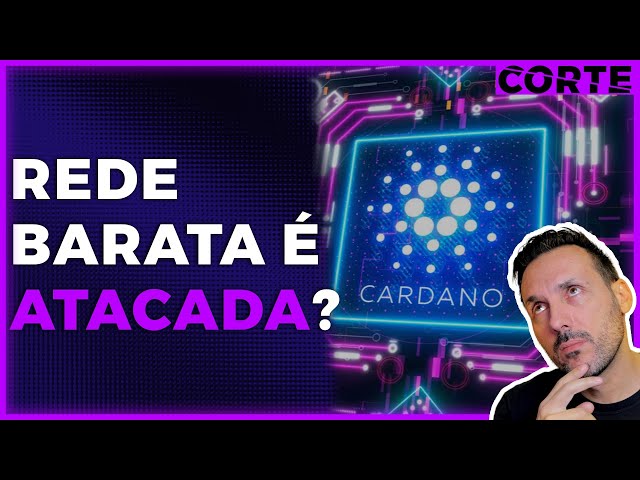 CARDANO PODE SOFRER COM DDOS? | CORTE