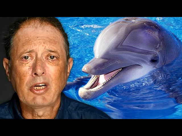 The Man Who Loved A Dolphin WAY Too Much (Warning: Gross)