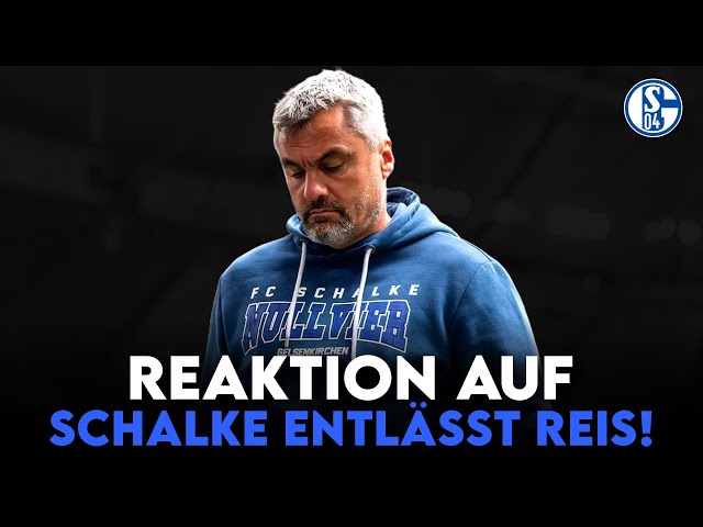 Schalke trennt sich von Thomas Reis – Wie geht es jetzt weiter? | Reaktion auf