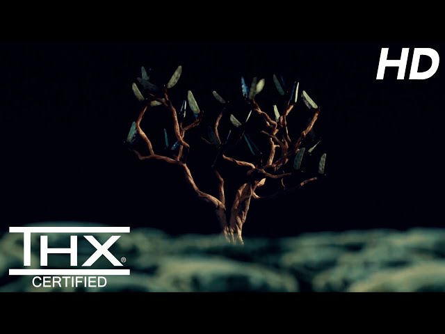 THX: Amazing Life [HD 1080p]