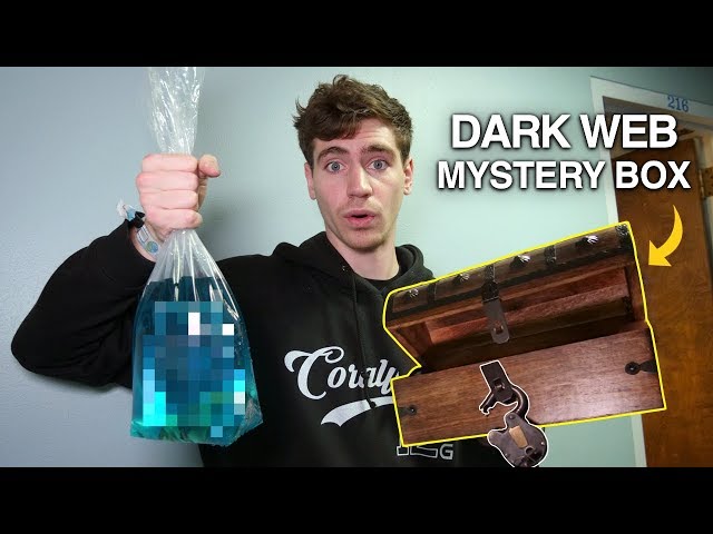 DON'T BUY FISH OFF THE DARK WEB... *scariest pet I've ever owned*