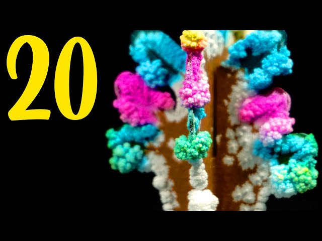 20 AMAZING SCIENCE EXPERIMENTS! Compilation