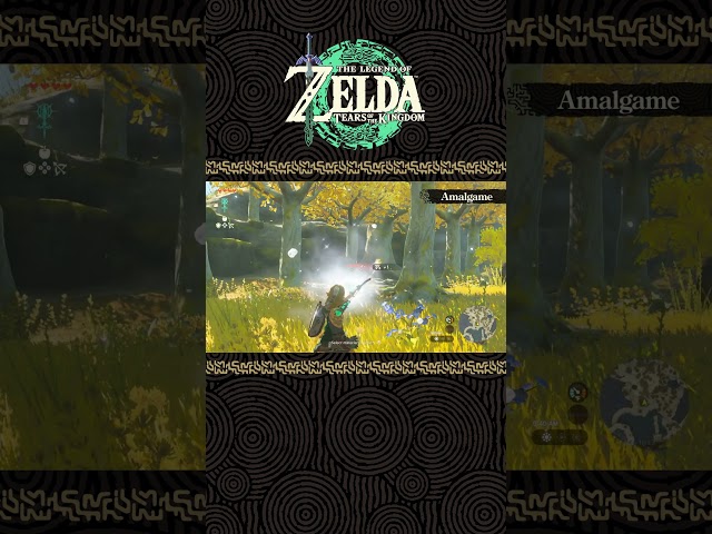 The Legend Of Zelda: Tears Of The Kingdom - Amalgame
