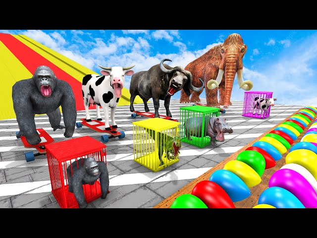Impossible Mega Ramp Challenge With Mammoth Elephant Cow Gorilla Don't Pop The Wrong Mystery Balloon