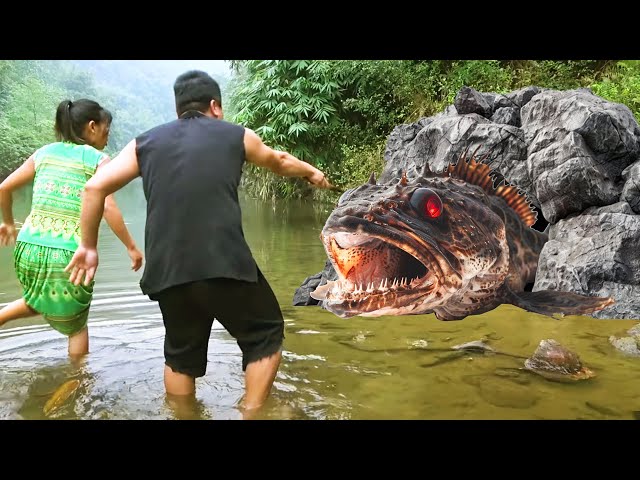 A Day Surviving in the Jungle - Couple Finds a Strange Fish in a Stone Cave, and Grill It For Lunch