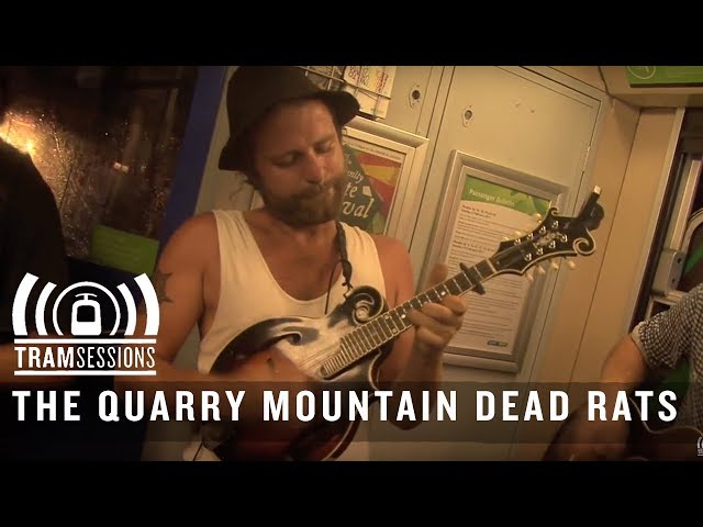 The Quarry Mountain Dead Rats - Bloodhound Killed My Squeeze Box | Tram Sessions