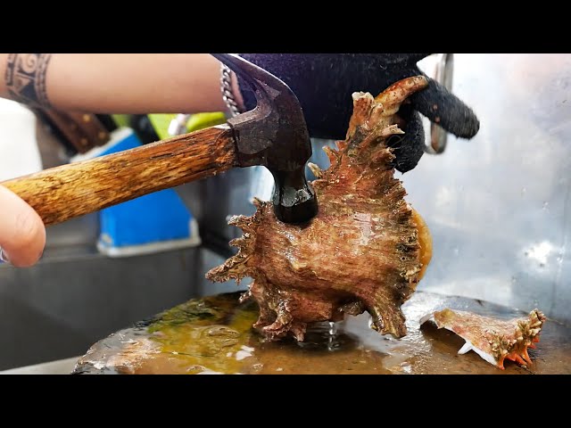 Thai Food - GIANT SEA SNAIL Spiky Conch Bangkok Seafood Thailand