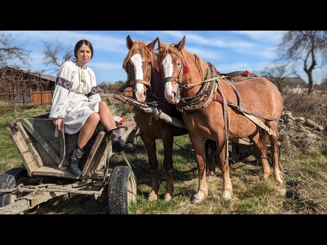 Hard life in a village. PLOWING WITH HORSES! Cooking amazing simple lunch. Ukrainian Vegan Food