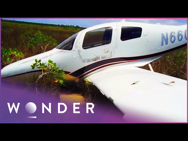 Infamous Plane Thief Is Risking His Life | Fly Colt Fly: Legend Of The Barefoot Bandit | Wonder