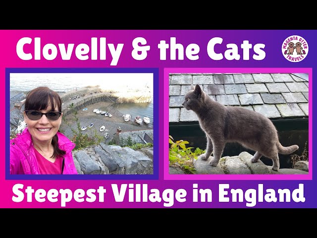 Clovelly & the Cats – Visiting the Steepest Village in England