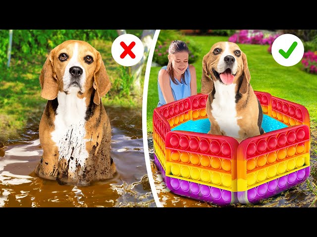 SMART HACKS FOR PET OWNERS AND AMAZING CRAFTS FOR YOUR LOVELY PETS