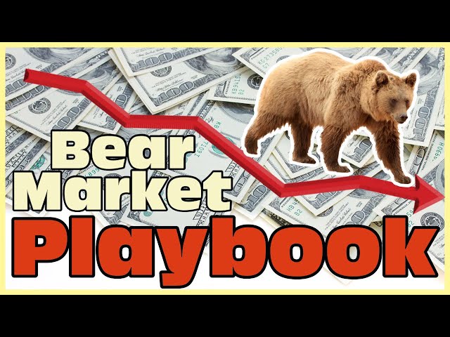 Ultimate Bear Stock Market Playbook
