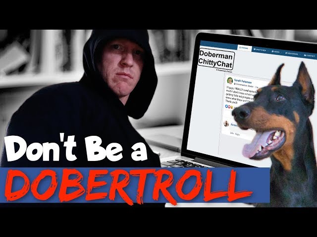 Don't Be a Dobertroll: Being a Good Doberman Breed Ambassador