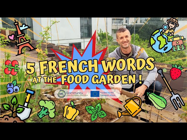 5 French words at the food garden! 🇫🇷 #LearnFrench #FrenchGardening #Gardens4Good