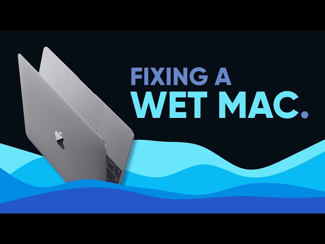 Liquid damaged Macbook repair in Austin, with Louis Rossmann 😊