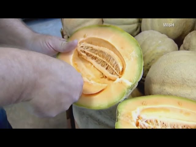 Don't eat pre-cut cantaloupe if you don't know the brand, CDC says as salmonella outbreak expands