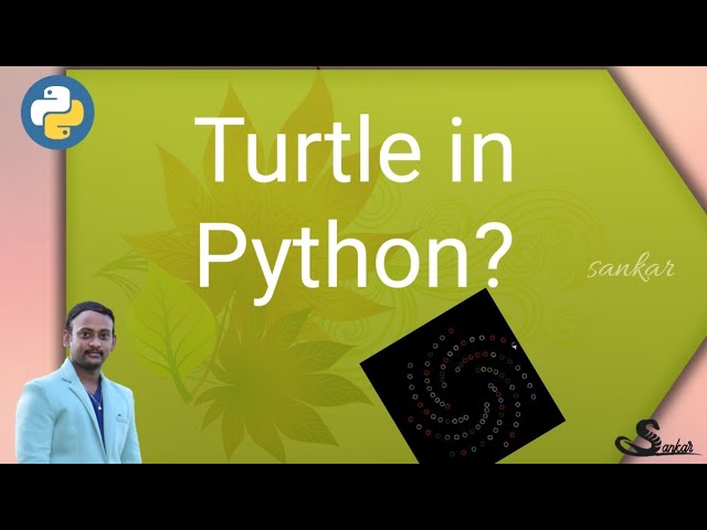 Turtle in python?