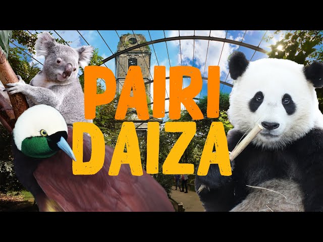 Pairi Daiza - Der schönste Zoo Europas? | Zoo Eindruck