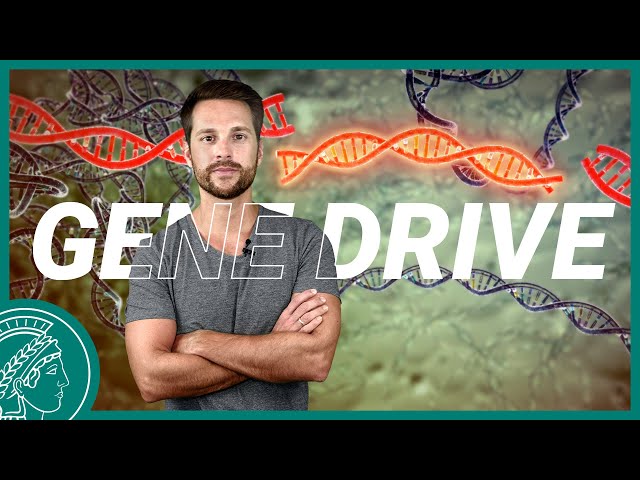 Gene Drive – ein Turbo für Gene | Wissen Was mit @MrWissen2go​