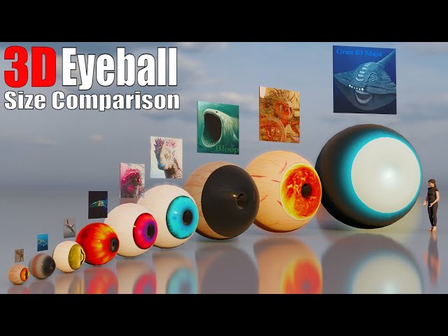 Animal, Dinosaur, and Sea Monster Eyeballs 3D Size Comparison