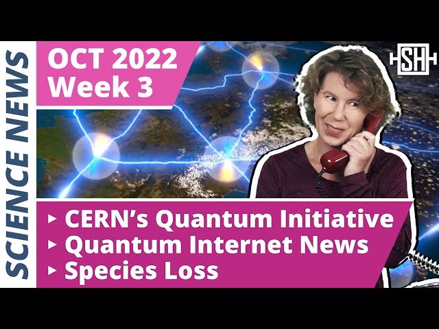 Do We Need a Quantum Internet?