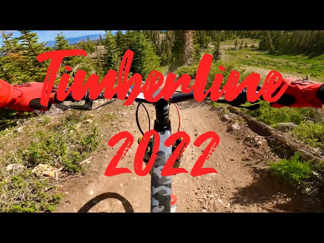 2022 Brian Head Timberline  Black Diamond Trail - As Raw as it gets - Trek Fuel Ex -4k GoPro Hero 10