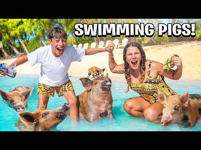 We Finally SWAM with PIGS in the Bahamas! 🐷