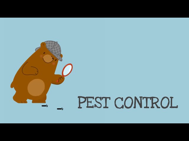 Pest Control Ad Video Template (Editable)