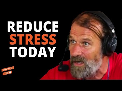 Do This for 4 Minutes a Day to Reduce Negative Stress With Wim Hof and Lewis Howes