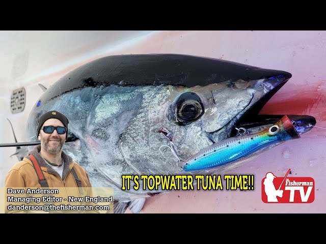 July 14th 2022 New England Video Fishing Forecast with Dave Anderson