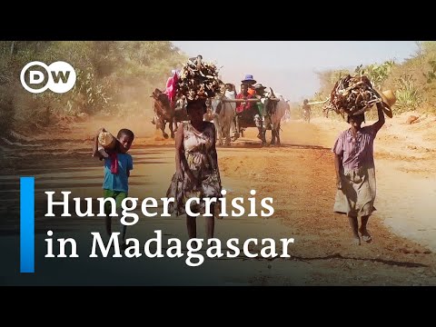 Climate change or politics? - Why Madagascar is going hungry | DW Documentary