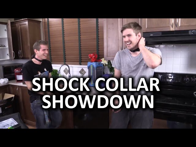 Shock Collar Showdown - CSF's Triumphant Return!
