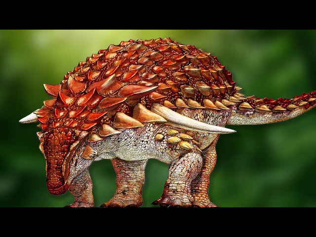 The Most Accurate Ankylosaur Ever Reconstructed?
