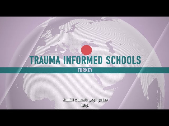 Trauma Informed Schools I 2021 WISE Awards