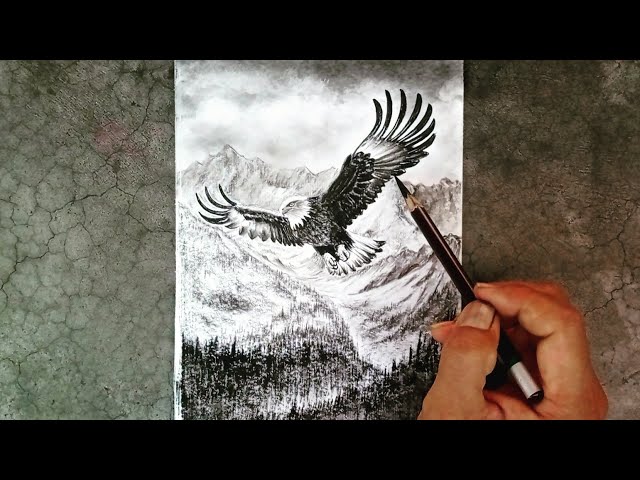 How to draw flying eagle / hawk landscape with pencil step by step.