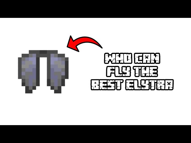 All Types Of Elytra Users