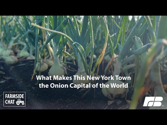 What Makes this New York Town the Onion Capital of the World