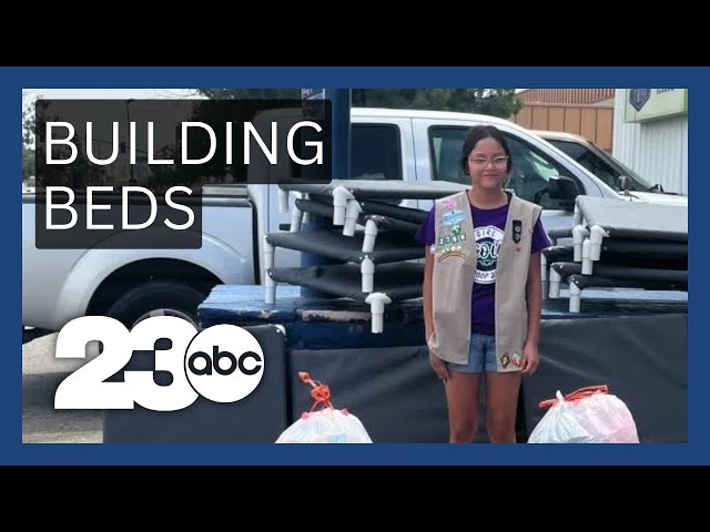 Girl Scout makes beds for shelter dogs | KERN'S KINDNESS