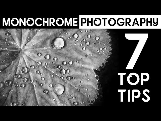 7 top tips for better mono photography - including how to edit black and white