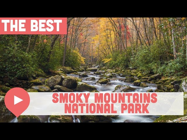 Best Things to Do in Great Smoky Mountains National Park