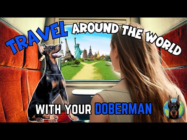 A World Traveler Shows How to Train Your Doberman to Travel