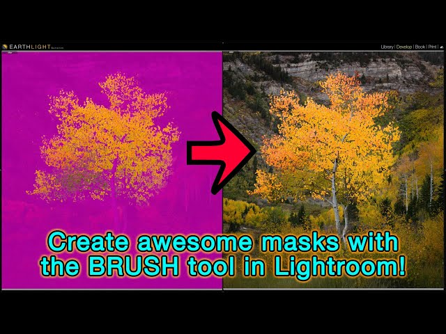 The Brush tool in Lightroom is often your best choice in creating a Mask!!