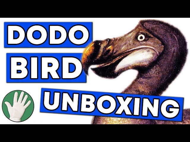 Dodo Bird Unboxing - Objectivity 130
