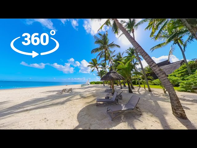 Insta360 X3 | 8K VR 360 video footage