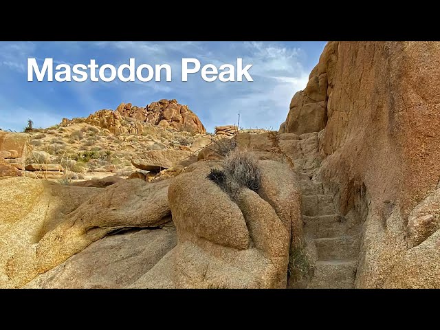 Hike Mastodon Peak Trail