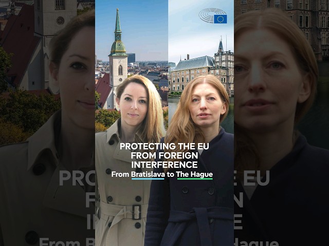Countering foreign interference across Europe