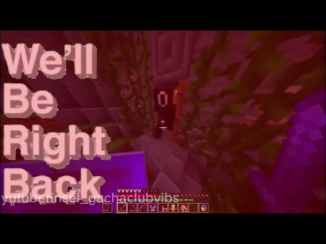 Minecraft meme with YouTuber