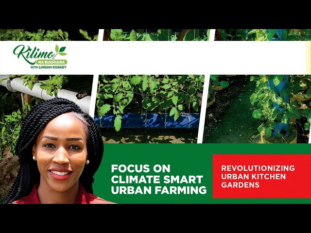 Climate Smart Urban Farming | Kilimo na Biashara