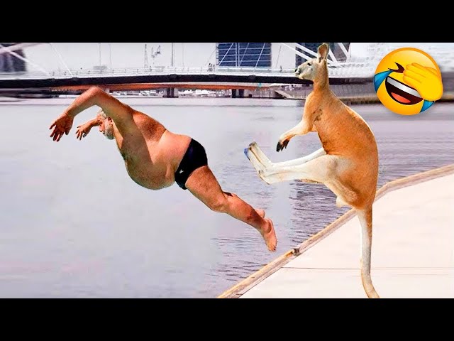 Funny Dogs And Cats Videos 2023 😅👌 - Best Animal Videos Of The Month 🥰 #4