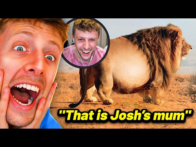 BEST SIDEMEN INSULTS OF ALL TIME!